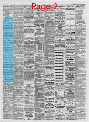 Page thumbnail for The Portland Daily Press