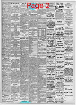 Page thumbnail for The Portland Daily Press