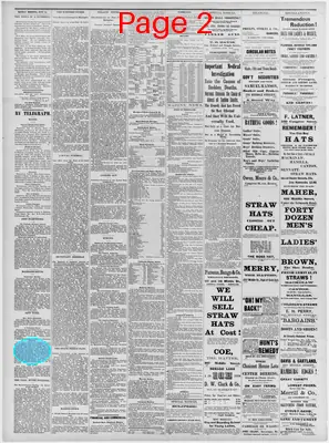 Page thumbnail for The Portland Daily Press