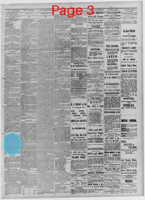 Page thumbnail for The Portland Daily Press
