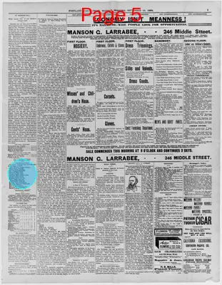 Page thumbnail for The Portland Daily Press