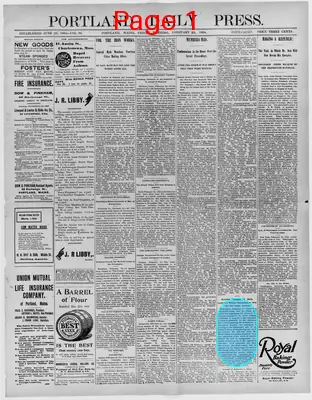 Page thumbnail for The Portland Daily Press