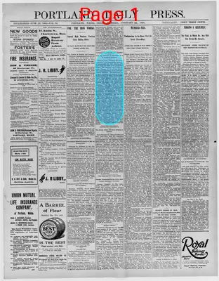 Page thumbnail for The Portland Daily Press