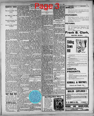 Page thumbnail for The Portland Daily Press