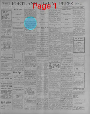Page thumbnail for The Portland Daily Press
