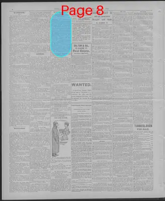 Page thumbnail for The Portland Daily Press
