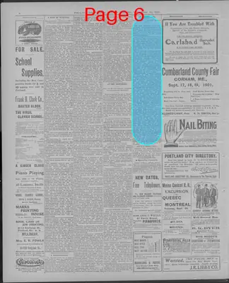 Page thumbnail for The Portland Daily Press