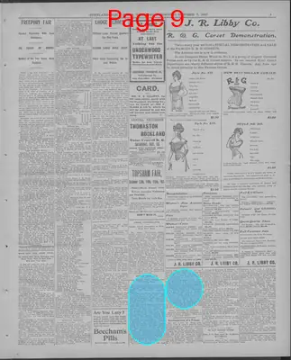 Page thumbnail for The Portland Daily Press