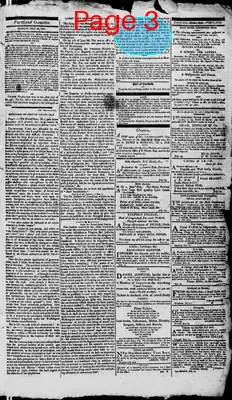 Page thumbnail for Jenks' Portland Gazette