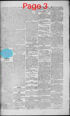 Page thumbnail for Portland Gazette, And Maine Advertiser