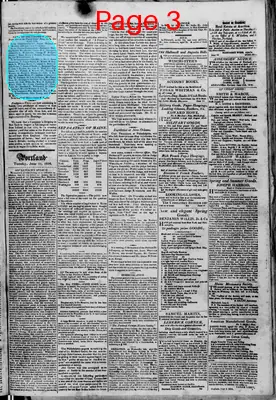 Page thumbnail for Portland Gazette, And Maine Advertiser