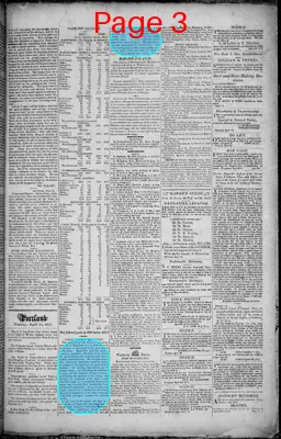Page thumbnail for Portland Gazette, And Maine Advertiser