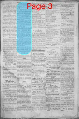 Page thumbnail for The Portland Gazette