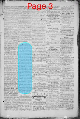Page thumbnail for The Portland Gazette
