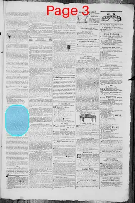 Page thumbnail for The Portland Gazette