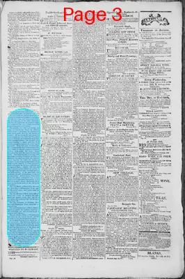 Page thumbnail for The Portland Gazette