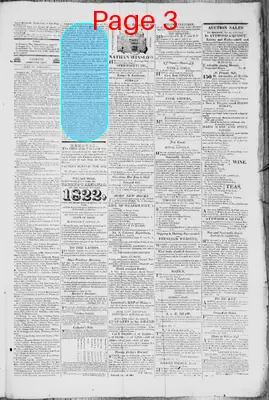 Page thumbnail for The Portland Gazette