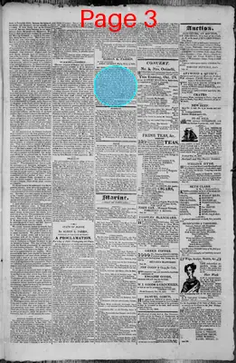 Page thumbnail for The Portland Gazette