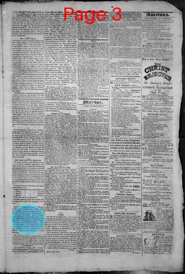 Page thumbnail for The Portland Gazette