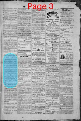 Page thumbnail for The Portland Gazette