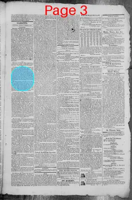Page thumbnail for The Portland Gazette