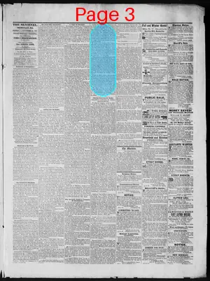 Page thumbnail for Montgomery County Sentinel