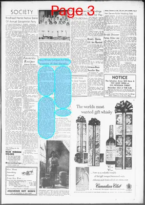 Page thumbnail for The Key West Citizen