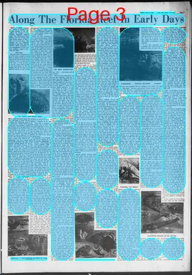 Page thumbnail for The Key West Citizen