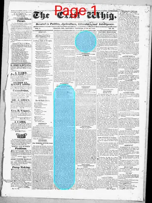 Page thumbnail for The Cecil Whig