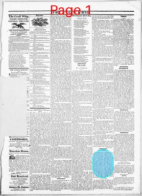 Page thumbnail for The Cecil Whig