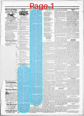 Page thumbnail for The Cecil Whig