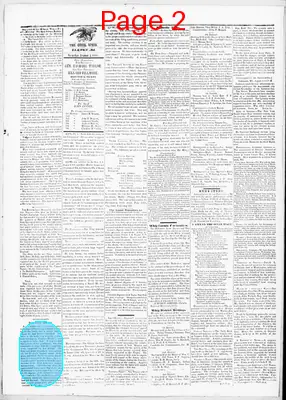 Page thumbnail for The Cecil Whig