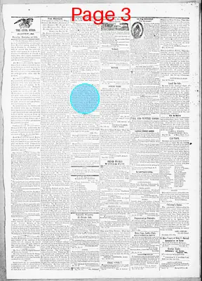Page thumbnail for The Cecil Whig