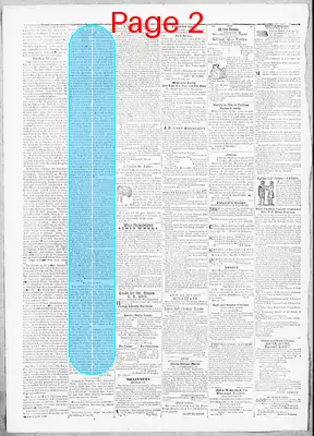Page thumbnail for The Cecil Whig