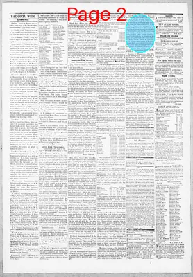 Page thumbnail for The Cecil Whig