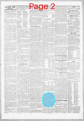 Page thumbnail for The Cecil Whig