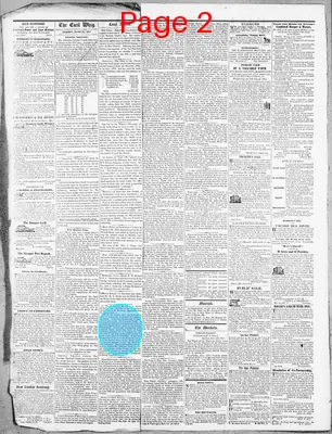 Page thumbnail for The Cecil Whig