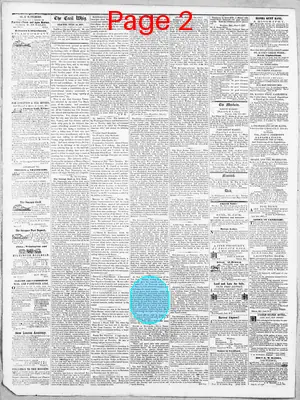 Page thumbnail for The Cecil Whig