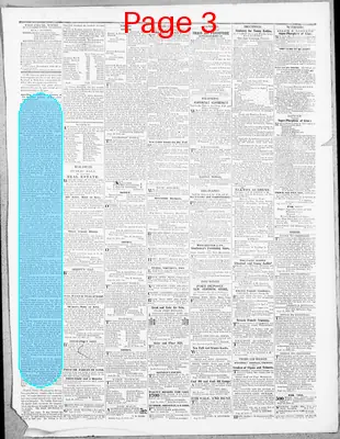 Page thumbnail for The Cecil Whig