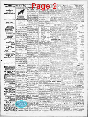 Page thumbnail for The Cecil Whig