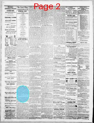 Page thumbnail for The Cecil Whig