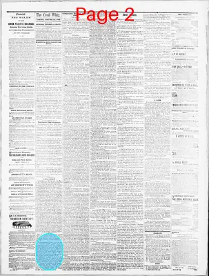 Page thumbnail for The Cecil Whig