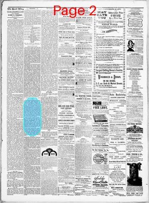 Page thumbnail for The Cecil Whig