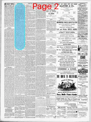 Page thumbnail for The Cecil Whig