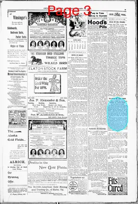 Page thumbnail for The Cecil Whig