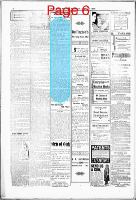 Page thumbnail for The Cecil Whig