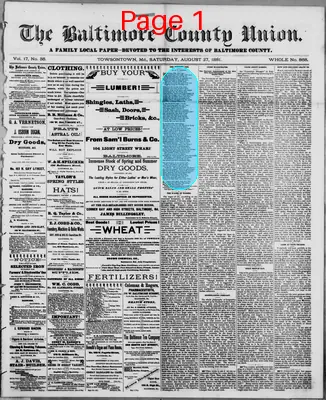 Page thumbnail for The Baltimore County Union