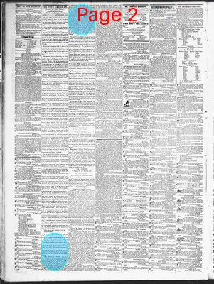 Page thumbnail for True American