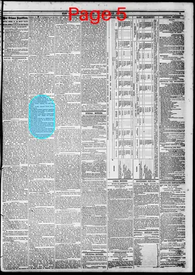 Page thumbnail for New Orleans Republican