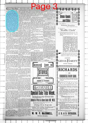 Page thumbnail for The Mankato Free Press